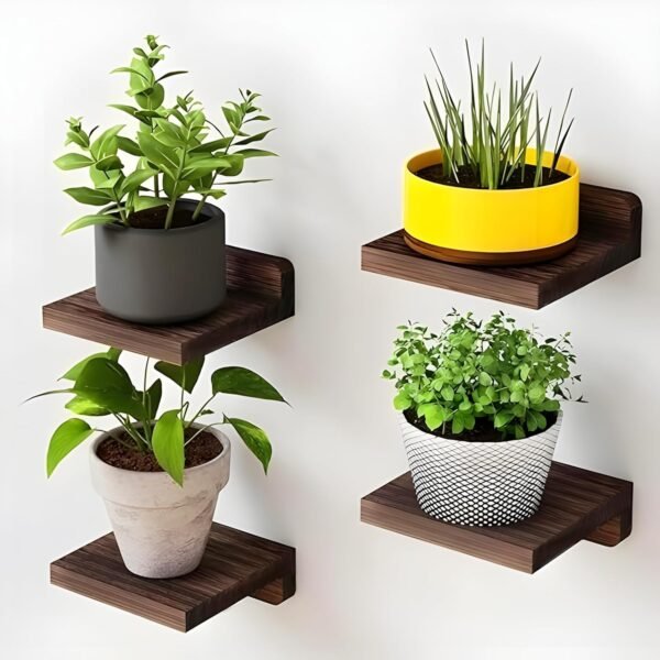 Wood Floating Shelves for Wall Decor