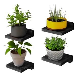 Wood Floating Shelves for Wall Decor